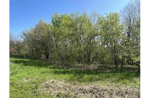 4.5 ACRES American Heritage Road, De Soto, WI 54624