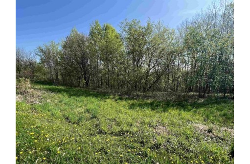 4.5 ACRES American Heritage Road, De Soto, WI 54624