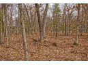 5.34 ACRES Trout Road, Wisconsin Dells, WI 53965