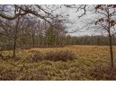 5.34 ACRES Trout Road, Wisconsin Dells, WI 53965