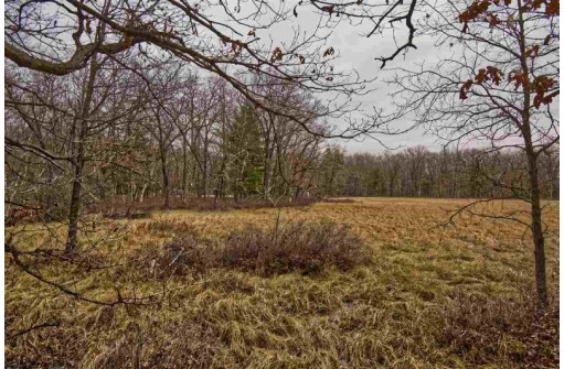 5.34 ACRES Trout Road, Wisconsin Dells, WI 53965