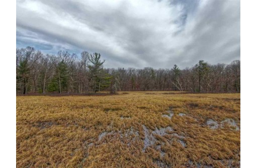 5.34 ACRES Trout Road, Wisconsin Dells, WI 53965