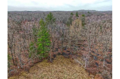 5.34 ACRES Trout Road, Wisconsin Dells, WI 53965