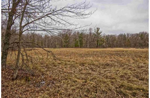 5.34 ACRES Trout Road, Wisconsin Dells, WI 53965