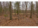 5.34 ACRES Trout Road, Wisconsin Dells, WI 53965