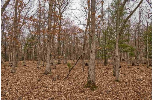 5.34 ACRES Trout Road, Wisconsin Dells, WI 53965