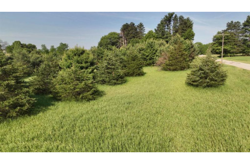 LOT 48 Fern Avenue, Montello, WI 53949