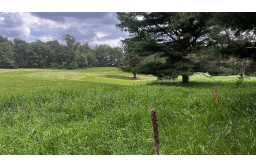 LOT 48 Fern Avenue, Montello, WI 53949