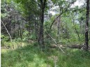 1348 S Bighorn Drive, Arkdale, WI 54613