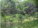 1348 S Bighorn Drive, Arkdale, WI 54613