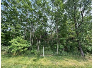 LOT 9 Fairway Lane Wisconsin Dells, WI 53965