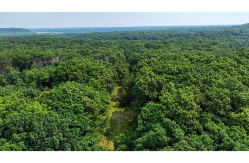 32.7+/- ACRES Oak Glen Circle, Lyndon Station, WI 53944