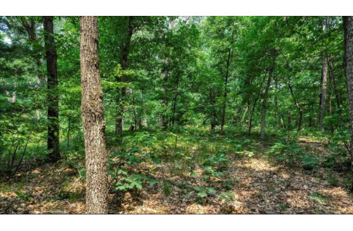 32.7+/- ACRES Oak Glen Circle, Lyndon Station, WI 53944