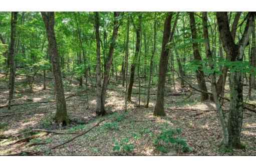 32.7+/- ACRES Oak Glen Circle, Lyndon Station, WI 53944