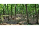 32.7+/- ACRES Oak Glen Circle, Lyndon Station, WI 53944