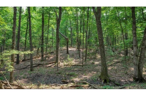 32.7+/- ACRES Oak Glen Circle, Lyndon Station, WI 53944