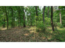 32.7+/- ACRES Oak Glen Circle, Lyndon Station, WI 53944