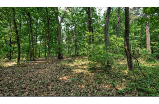 32.7+/- ACRES Oak Glen Circle, Lyndon Station, WI 53944