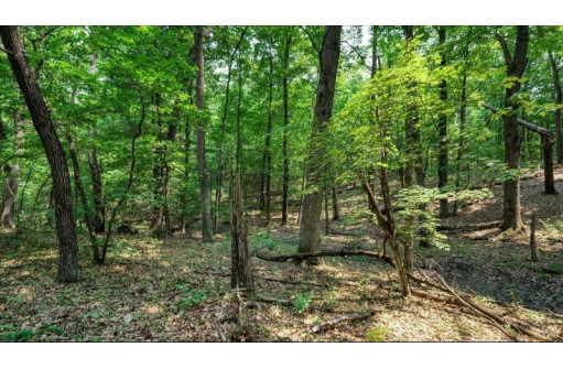 32.7+/- ACRES Oak Glen Circle, Lyndon Station, WI 53944