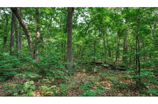 32.7+/- ACRES Oak Glen Circle, Lyndon Station, WI 53944