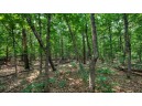 32.7+/- ACRES Oak Glen Circle, Lyndon Station, WI 53944