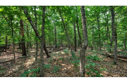 32.7+/- ACRES Oak Glen Circle, Lyndon Station, WI 53944