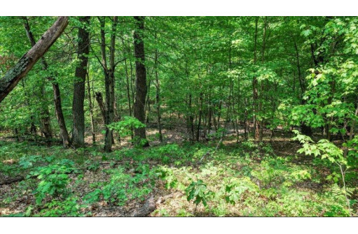 32.7+/- ACRES Oak Glen Circle, Lyndon Station, WI 53944