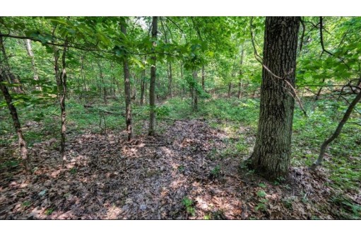 32.7+/- ACRES Oak Glen Circle, Lyndon Station, WI 53944