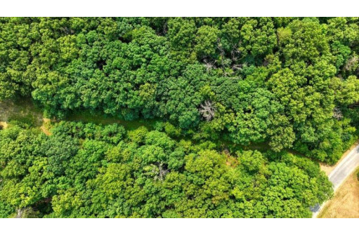 32.7+/- ACRES Oak Glen Circle, Lyndon Station, WI 53944