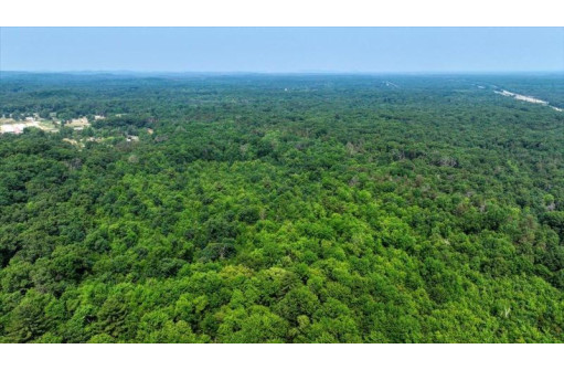 32.7+/- ACRES Oak Glen Circle, Lyndon Station, WI 53944