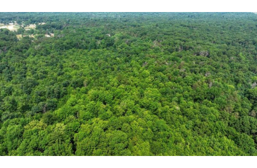 32.7+/- ACRES Oak Glen Circle, Lyndon Station, WI 53944