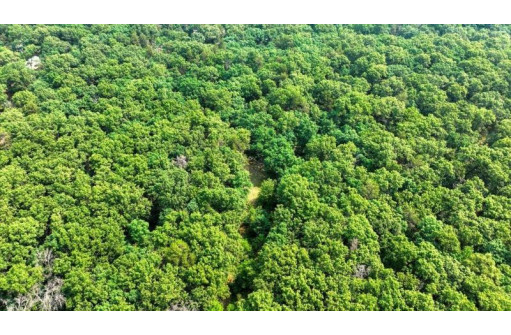 32.7+/- ACRES Oak Glen Circle, Lyndon Station, WI 53944