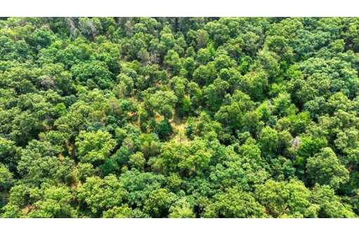 32.7+/- ACRES Oak Glen Circle, Lyndon Station, WI 53944