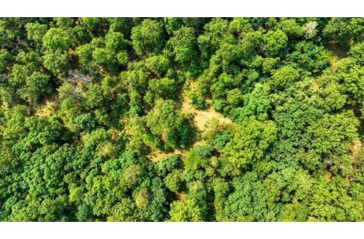 32.7+/- ACRES Oak Glen Circle, Lyndon Station, WI 53944