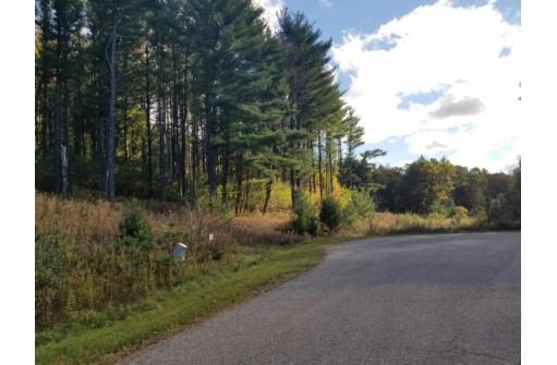 LOT 28 Deer Run Ridge, Wisconsin Dells, WI 53965