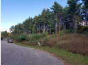 LOT 28 Deer Run Ridge, Wisconsin Dells, WI 53965