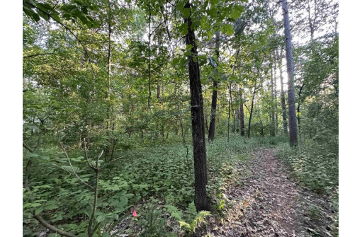 LOT 46 Lake Drive, Brodhead, WI 53520