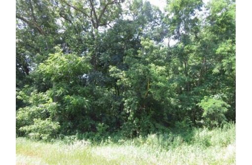 LOT 1 Country Road A, Oxford, WI 53952