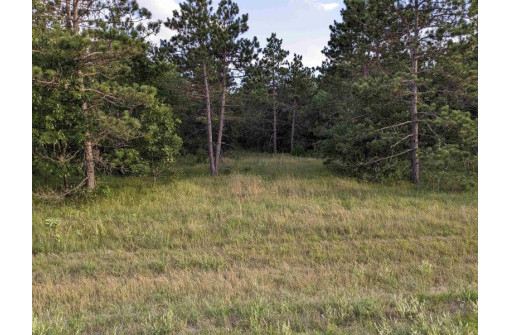 10.8 ACRES Alpine Drive, Nekoosa, WI 54457