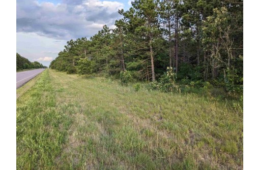 10.8 ACRES Alpine Drive, Nekoosa, WI 54457