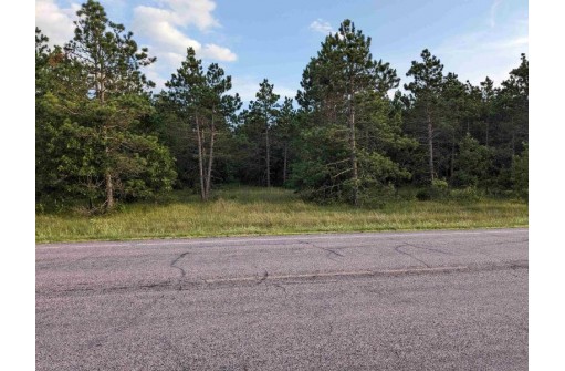 10.8 ACRES Alpine Drive, Nekoosa, WI 54457