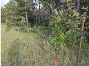 10.8 ACRES Alpine Drive, Nekoosa, WI 54457