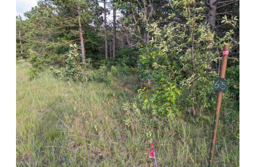 10.8 ACRES Alpine Drive, Nekoosa, WI 54457