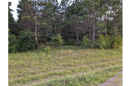 10.8 ACRES Alpine Drive, Nekoosa, WI 54457