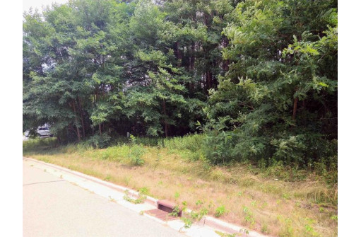 LOT 23 Wooded Glen Court, Wisconsin Dells, WI 53965