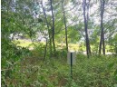 LOT 23 Wooded Glen Court, Wisconsin Dells, WI 53965