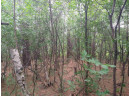 LOT 23 Wooded Glen Court, Wisconsin Dells, WI 53965