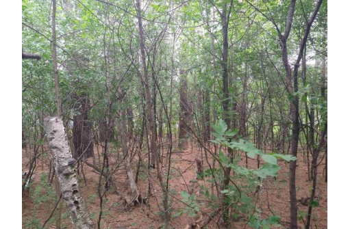 LOT 23 Wooded Glen Court, Wisconsin Dells, WI 53965