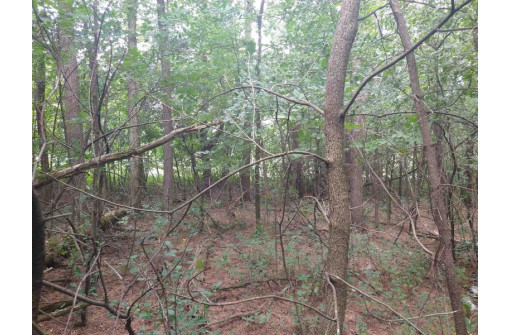 LOT 23 Wooded Glen Court, Wisconsin Dells, WI 53965