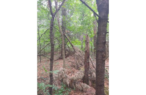 LOT 23 Wooded Glen Court, Wisconsin Dells, WI 53965